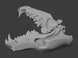 African Wolf Skull-4