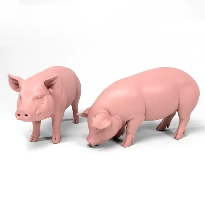 Pigs