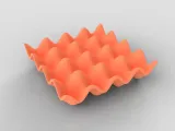 Egg Tray-1