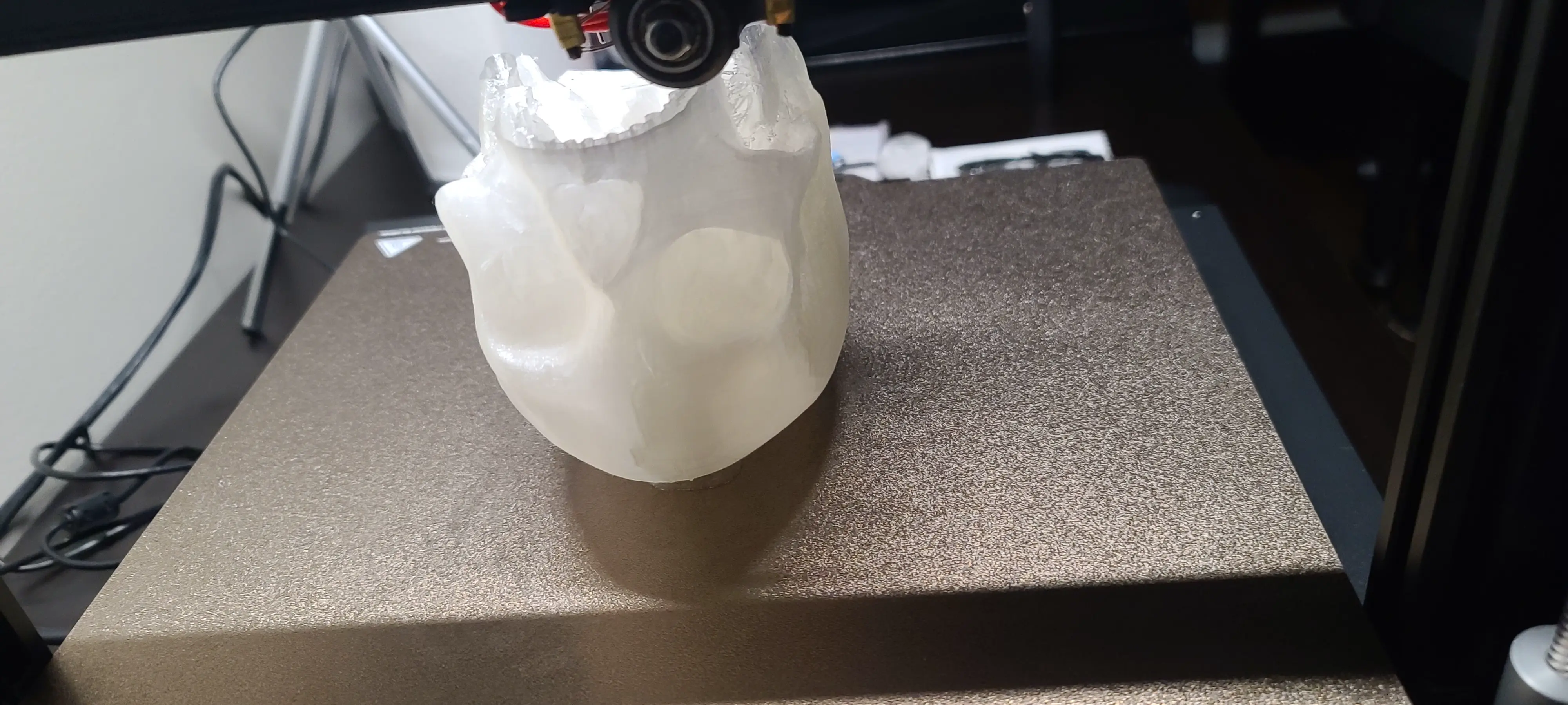 Skull Imported from Microsoft 3D Builder