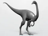 GALLIMIMUS-0
