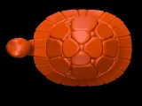 Cute Curious Turtle-3