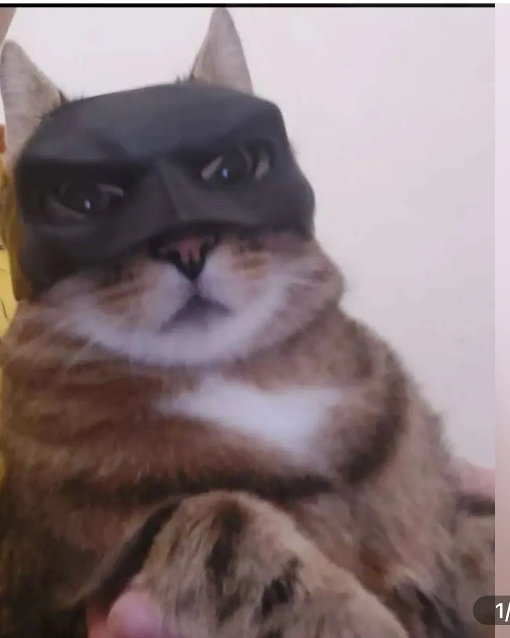 BAT CAT MASK