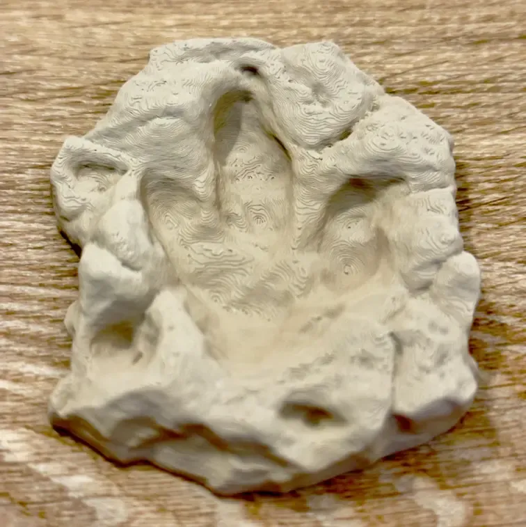 Dinosaur footprint