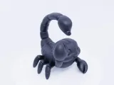 Cute Scorpion-0