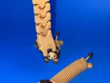 萌趣弹簧狮子-5
