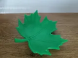 Leaf-1