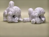 可活动贵宾犬-5