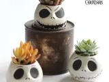 Jack "Pot" Skeleton-0