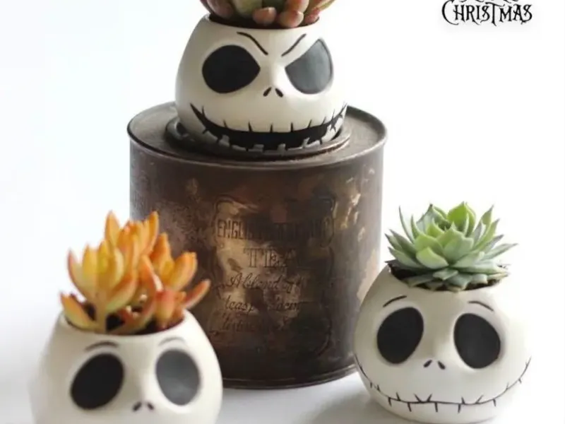 Jack "Pot" Skeleton