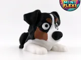 Mini Flexi Australian Shepherd - No Support-2