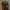 Action Figure Garen League Of Legends LoL