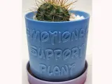 PUNNY PLANTER 01 - EMOTIONAL SUPPORT PLANT-0