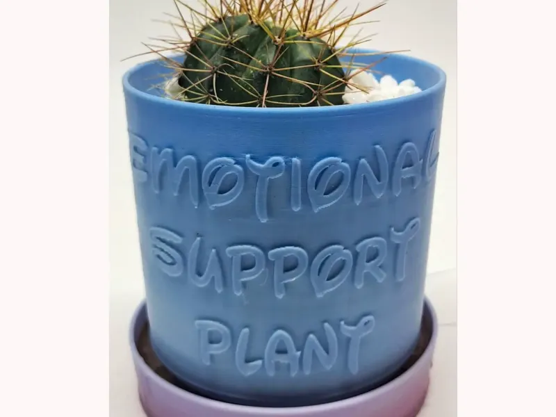 PUNNY PLANTER 01 - PLANTA DE APOYO EMOCIONAL