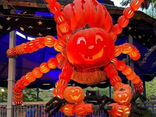 Spider