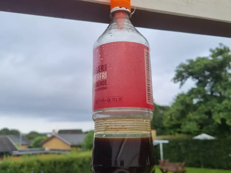 Wespenfalle für Flaschen