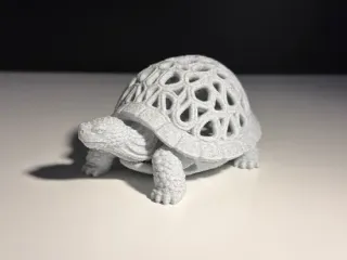 Turtle