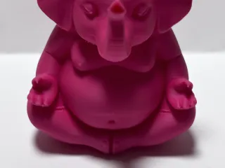 Elephant meditation