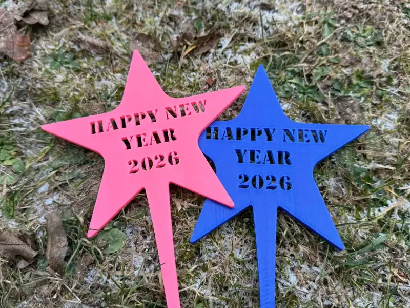 Happy New Year 2026, a magical photo shoot