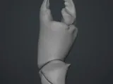 爪と貝殻-1