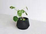 pot plant oslo-0