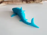 Squalo bianco Flexi-6