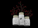 Christmas Jars-5
