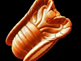 Snake Textured Snake Ring-0