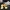 ROBLOX ROBUX MUNT SPEL
