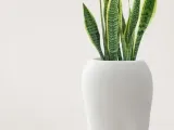 White Cat  Vase-2