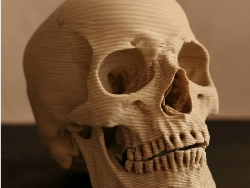 Calavera