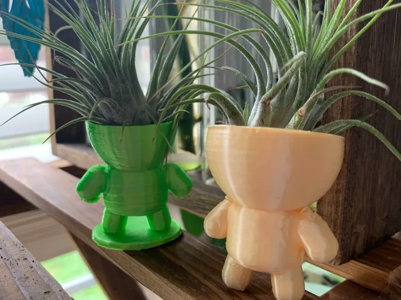 Buddy Air Plant Holder