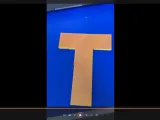 T  BUZZLE-3