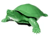 Turtles 2-3