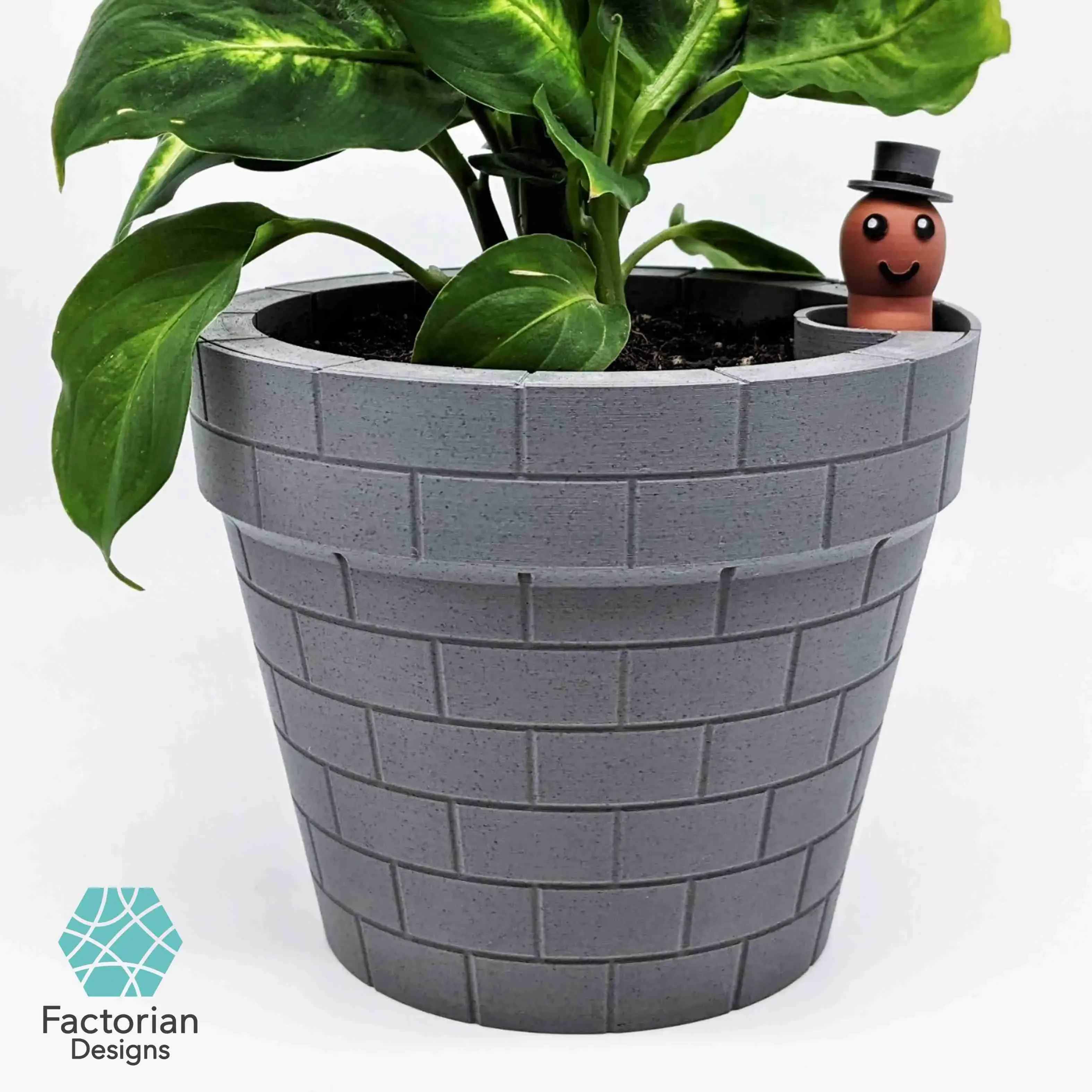 Self-Watering Plant Pot with a Gentleman Earthworm Companion