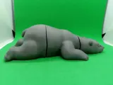 Articulated Flexi-Bear 3D Print in Place Model-2