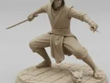 Silent Assassin or Ninja (Cìkè Assassin)-0