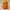 Knitted Chick – Tiny and Cheerful!
