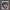 trump 3d multicolor picture