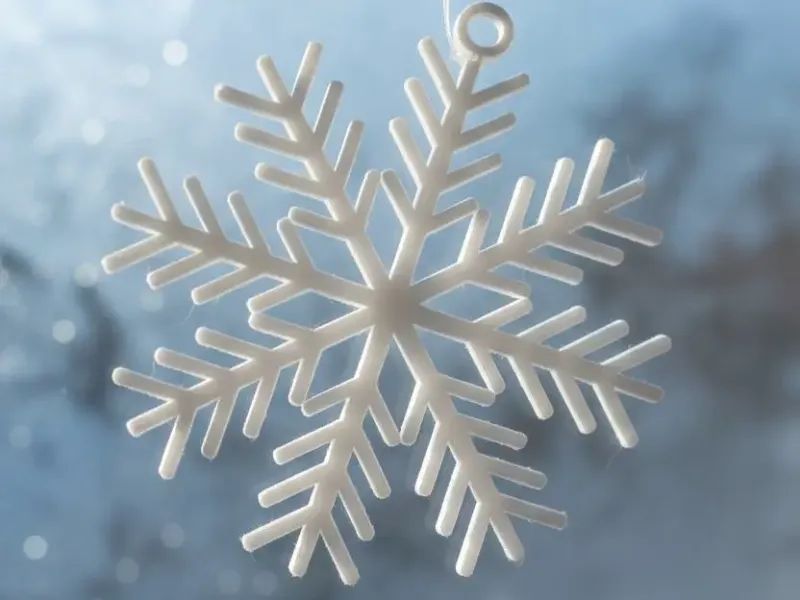 Fiocco di neve