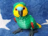 Amazon Parrot-1