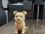 Cute Pitbull Puppy-5