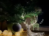 Light Voronoi Deer-0