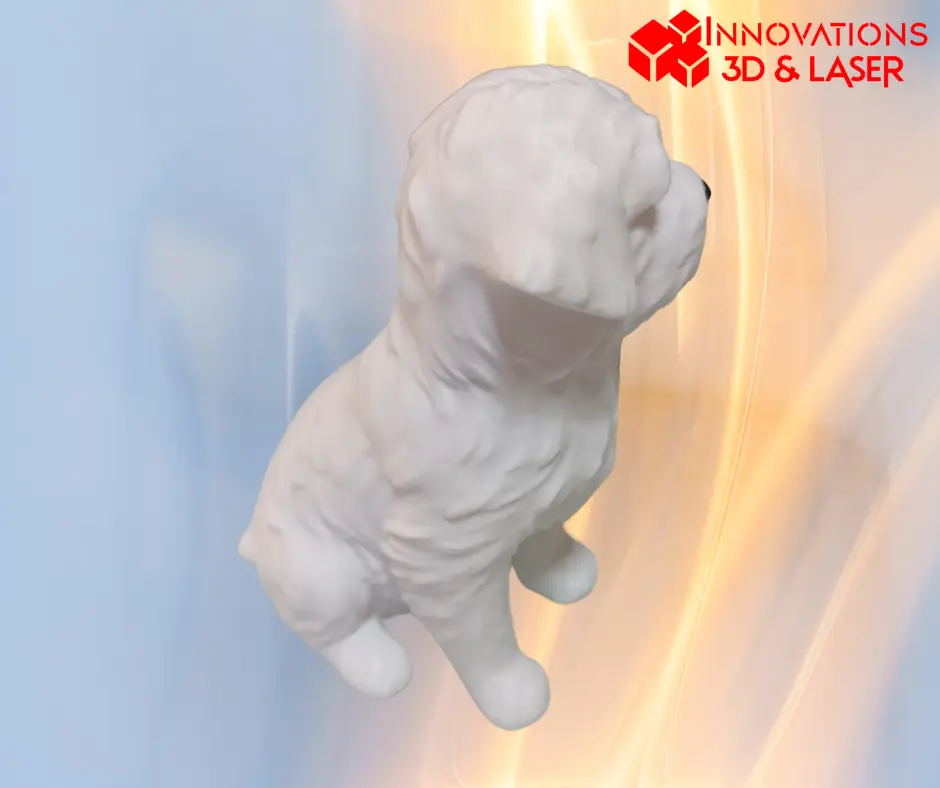 Perro maltés - Bichon Maltais