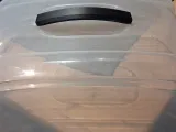 Lid Handle for Cake Container-0