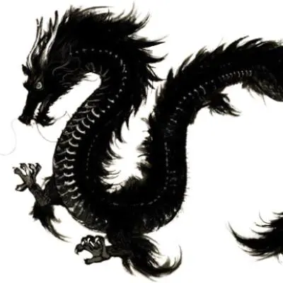 Blackdragon flexible