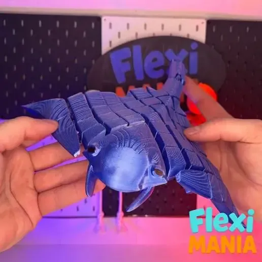 XLフレキシブルエイ 🐟✨ | スペシャルエディション 可動式エイ – La