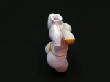 Bikini Flower Pot-4