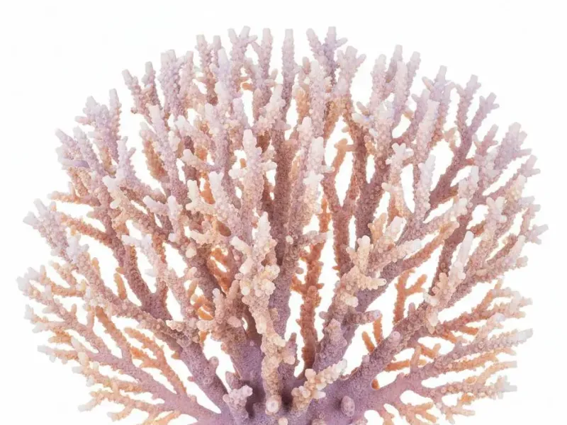 Organic Reef Coral Cluster – Detailed 3D Printable Marine Sc
