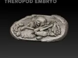 Theropod Embryo Fossil-1